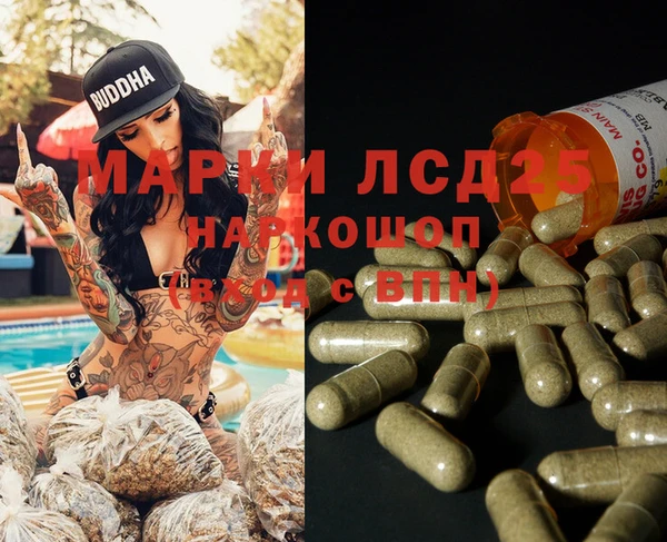 apvp Аркадак