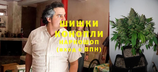 амф Арсеньев