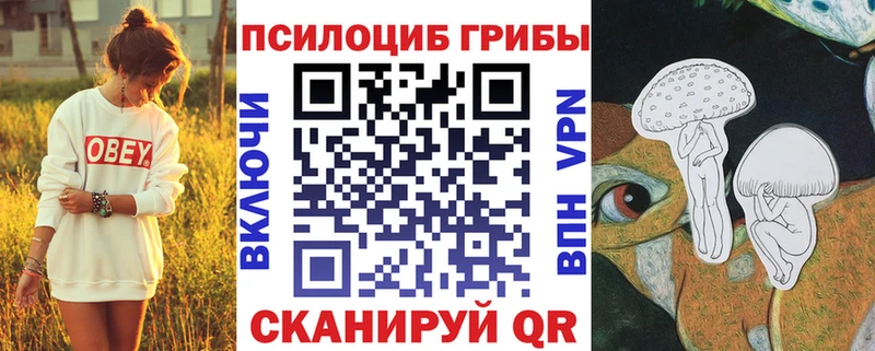 blacksprut ТОР Ржев Галлюциногенные грибы Cubensis