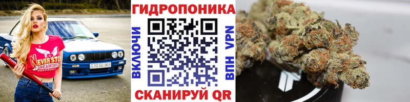 блэк спрут   Ржев  Каннабис VHQ 